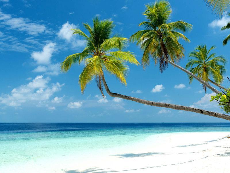 Mercure Maldives Kooddoo Adults-Only Resort - 35 Percent Off Return Domestic Transfers For Two Adults Until September Viligili Exterior foto